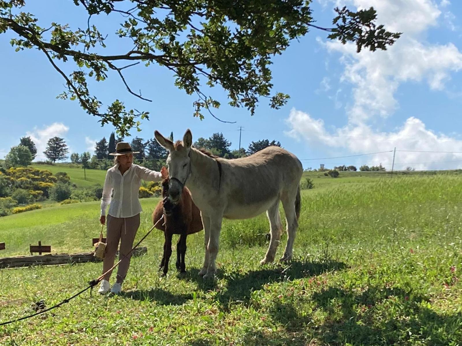 רדיקופאני Agriturismo Selvella מראה חיצוני תמונה