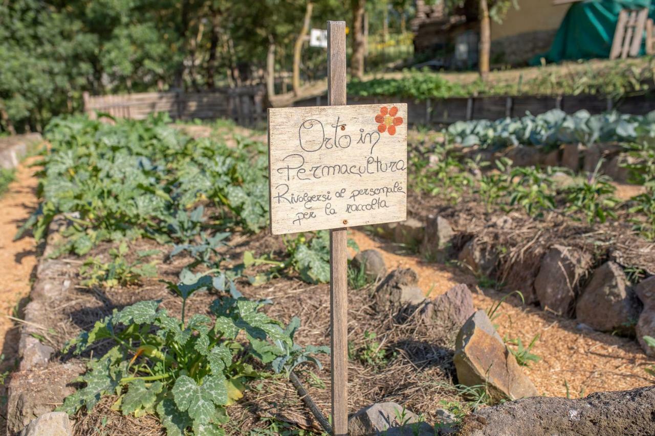 רדיקופאני Agriturismo Selvella מראה חיצוני תמונה
