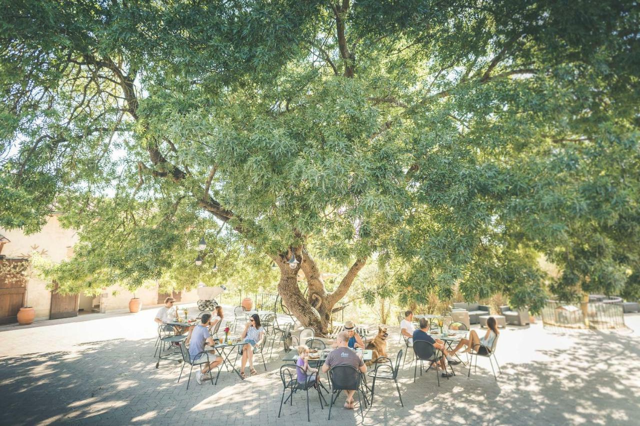רדיקופאני Agriturismo Selvella מראה חיצוני תמונה